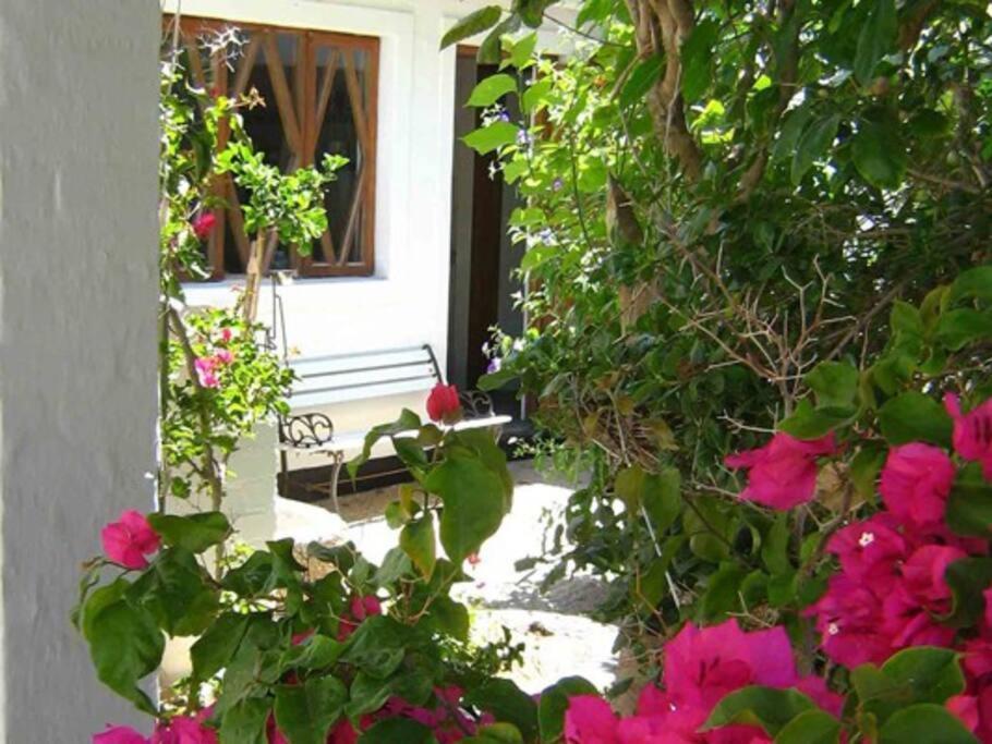 Alternative Space B & B Swakopmund Exterior foto