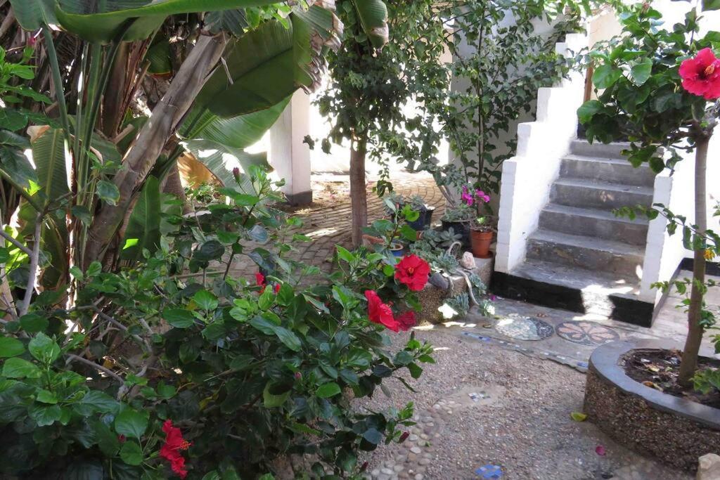 Alternative Space B & B Swakopmund Exterior foto