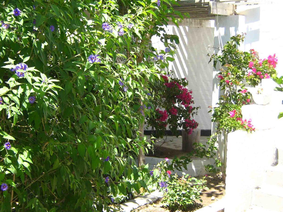 Alternative Space B & B Swakopmund Exterior foto