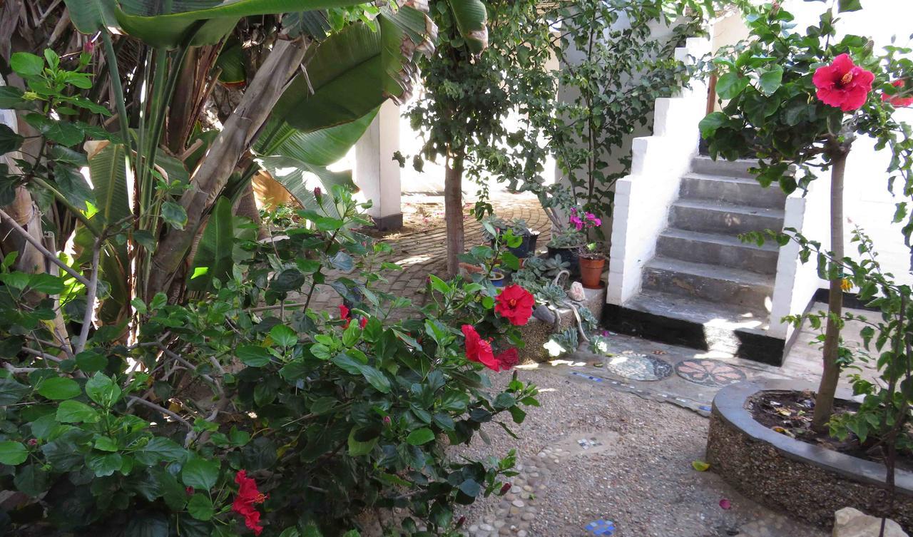Alternative Space B & B Swakopmund Exterior foto